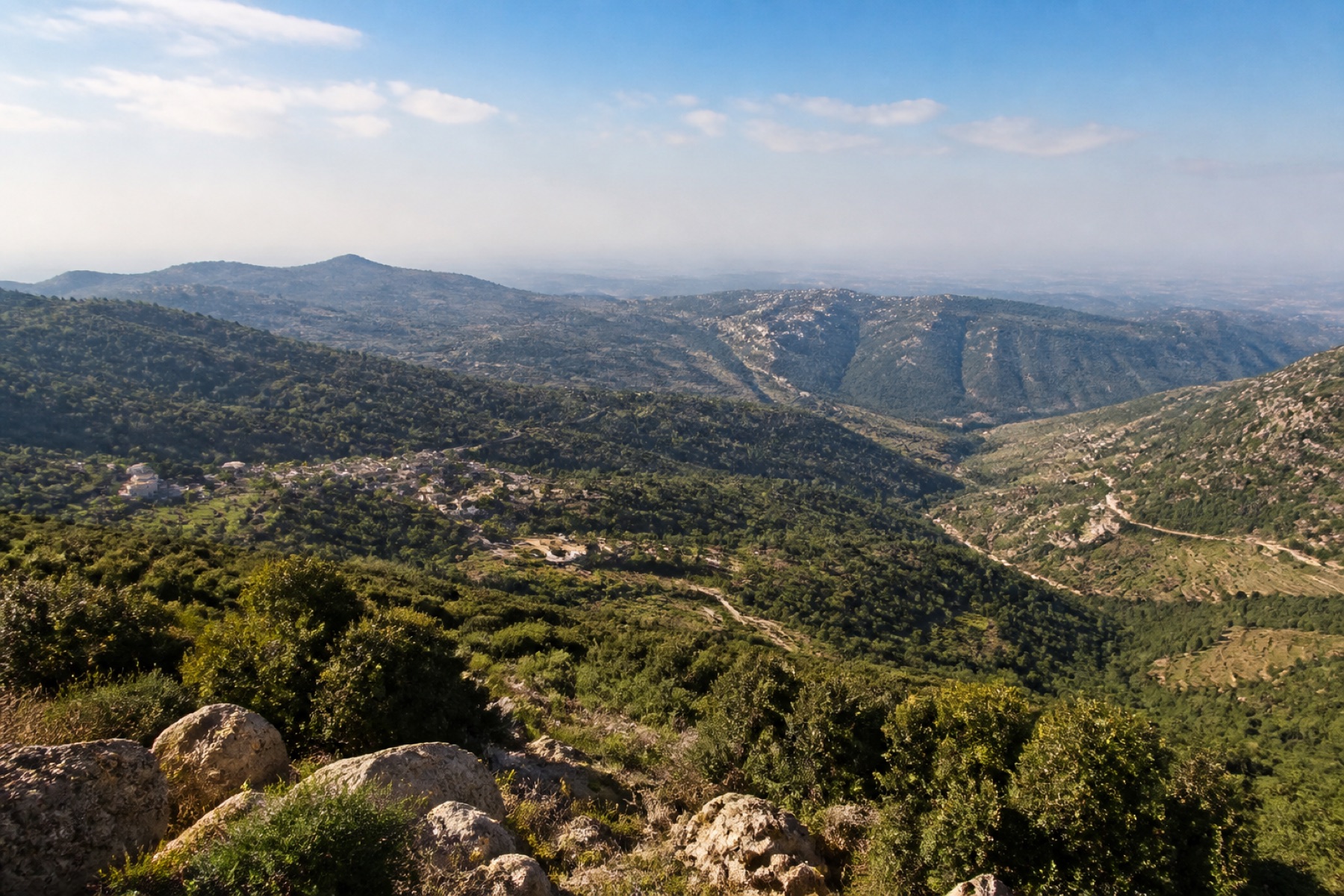 Paisaje verde y tranquilo con colinas y agua