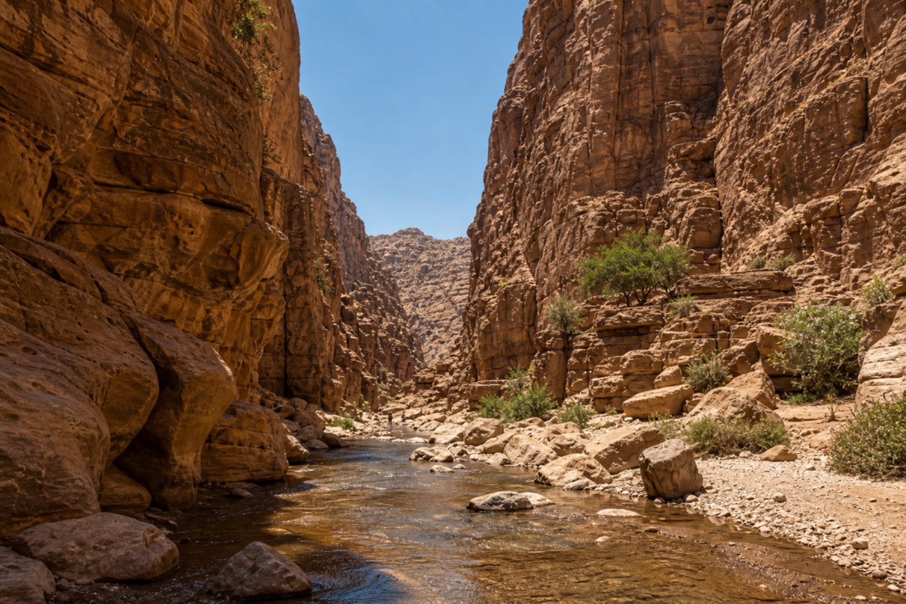Wide Wadi Al Mujib canyon scenery with dramatic cliffs and a stream