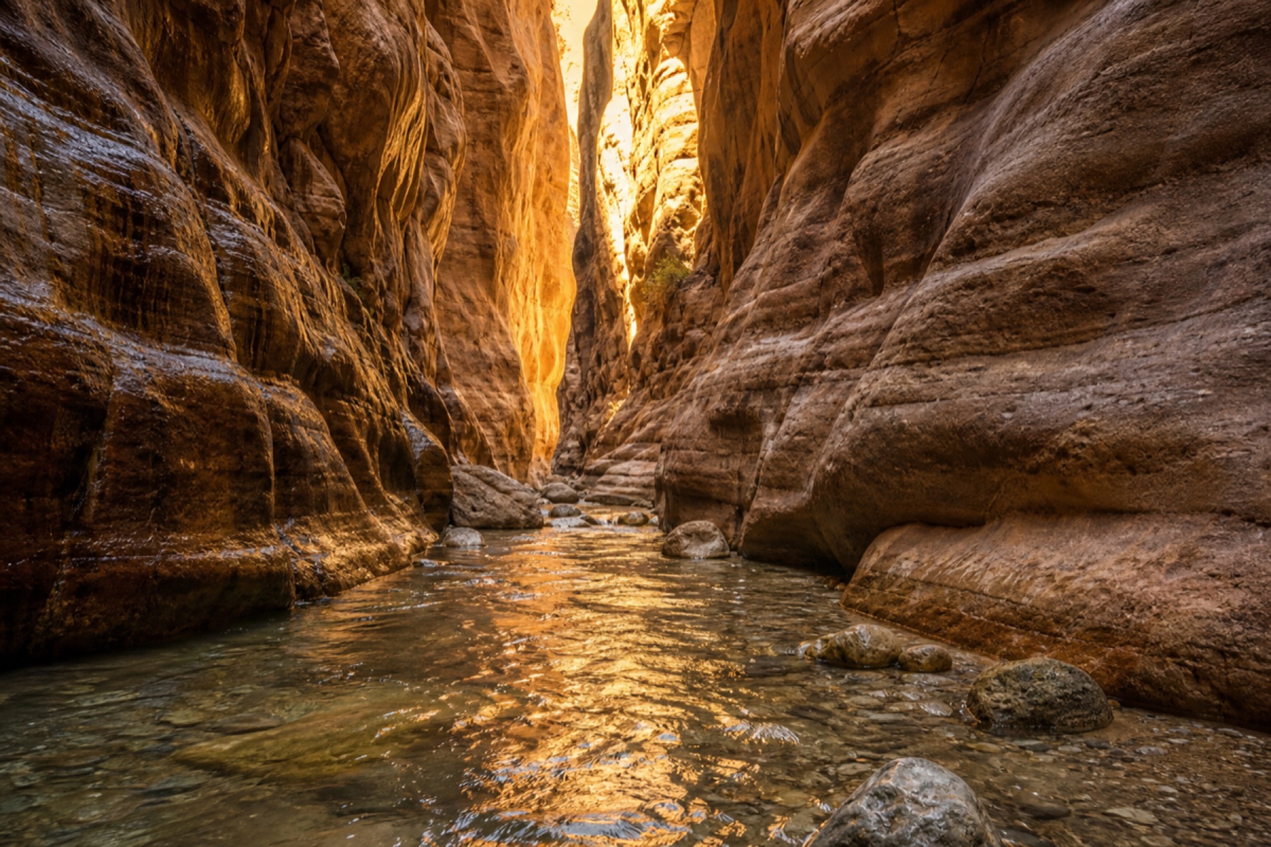 Golden-hour light reflecting on water inside Wadi Al Mujib canyon